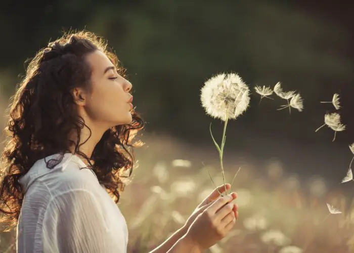 The Meaning and Symbolism of Dandelions