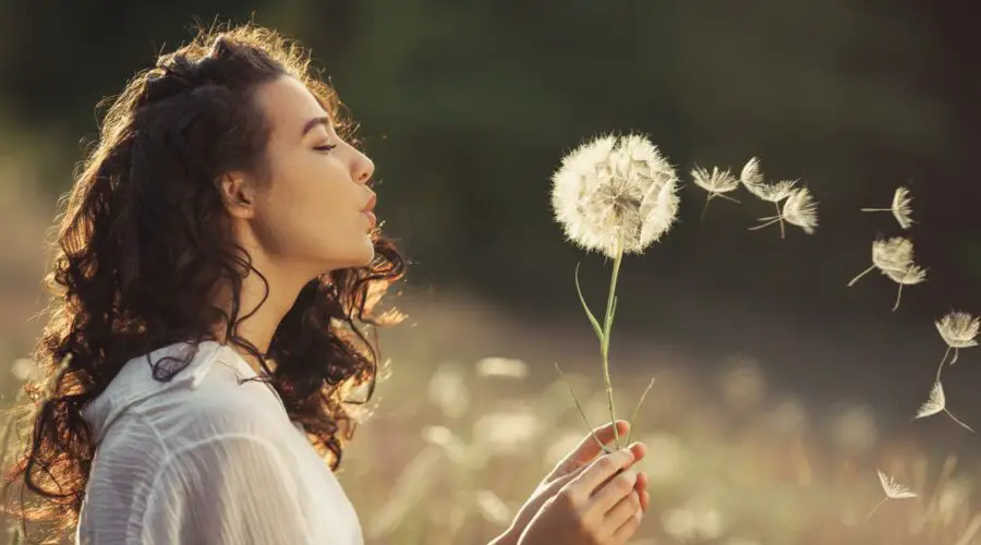 The Meaning and Symbolism of Dandelions