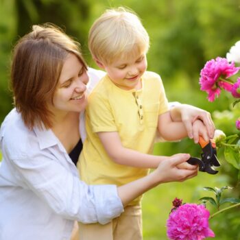 Mother’s Day Flowers and Their Meanings