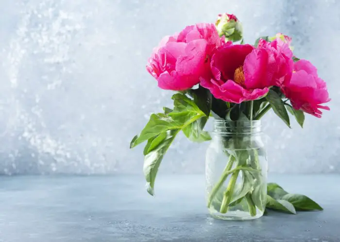 Mother’s Day Flowers and Their Meanings