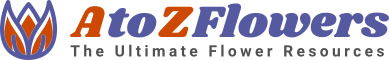 A to Z Flowers logo